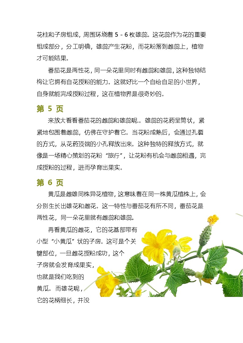 苏教版小学科学三年级下册07植物开花了逐字稿（学案）第2页