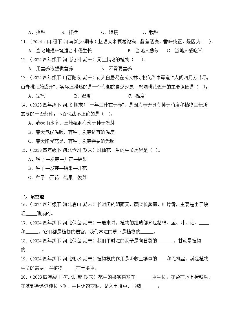 专题02 植物的生长与繁殖-2024-2025学年科学四年级下册期末备考真题分类汇编（冀人版 ）+答案第2页