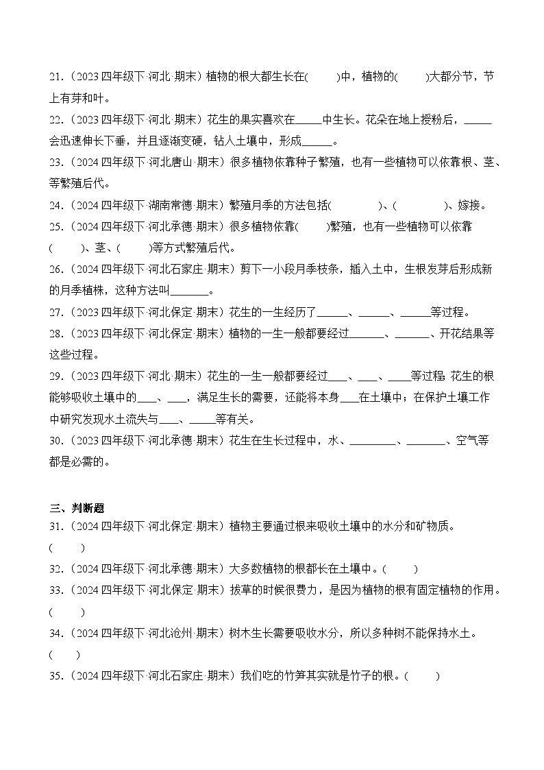 专题02 植物的生长与繁殖-2024-2025学年科学四年级下册期末备考真题分类汇编（冀人版 ）+答案第3页