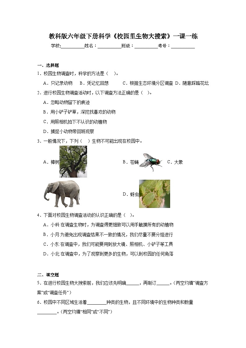 教科版六年级下册科学《校园里大搜索》一课一练（含答案）第1页
