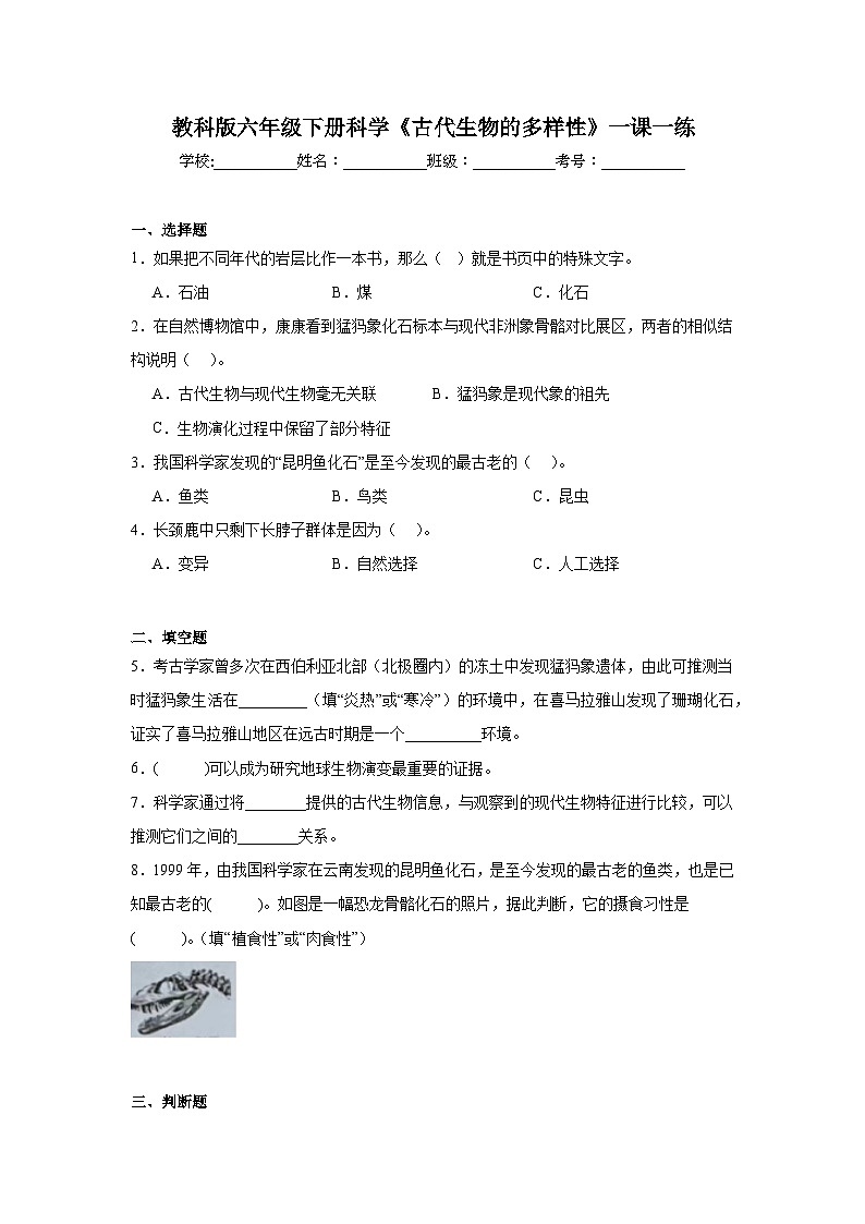 教科版六年级下册科学《古代生物的多样性》一课一练（含答案）第1页