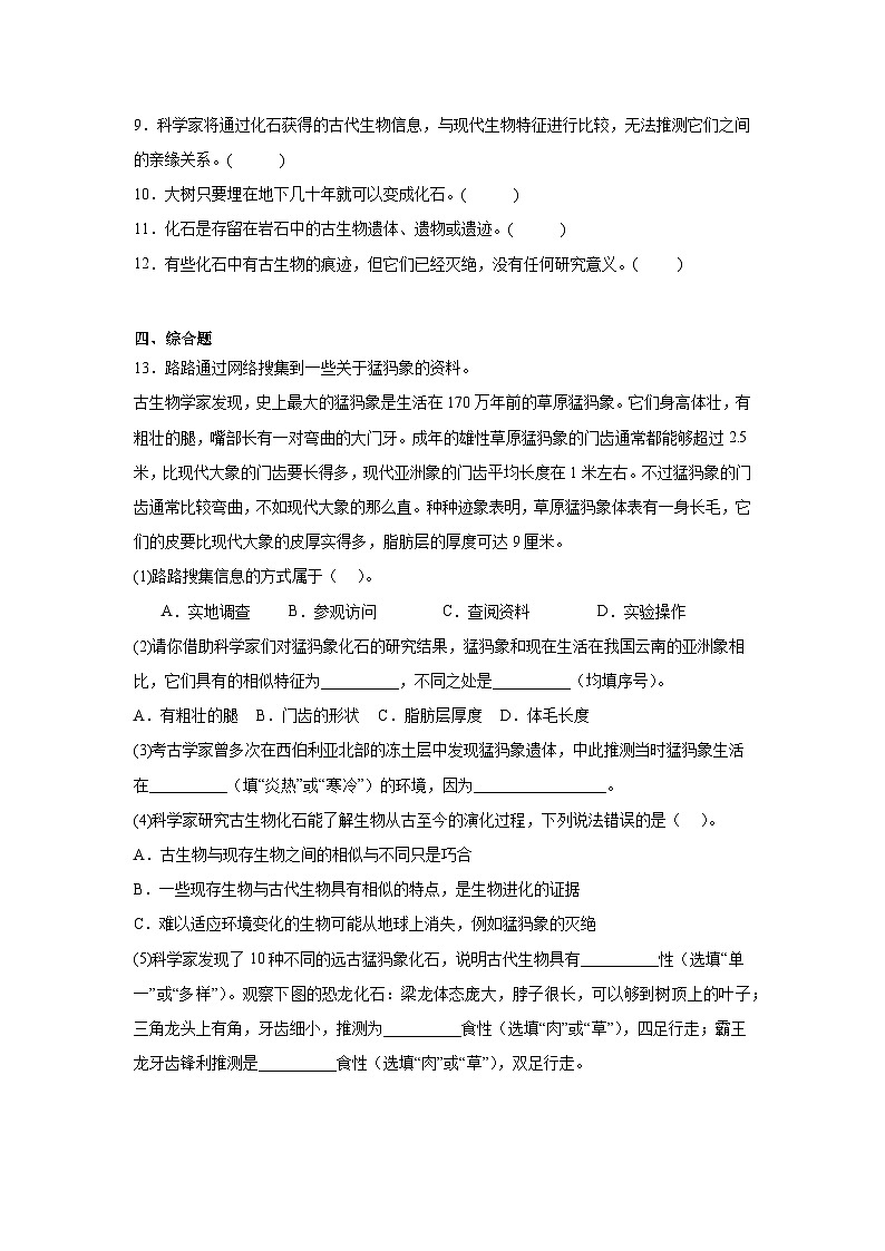 教科版六年级下册科学《古代生物的多样性》一课一练（含答案）第2页