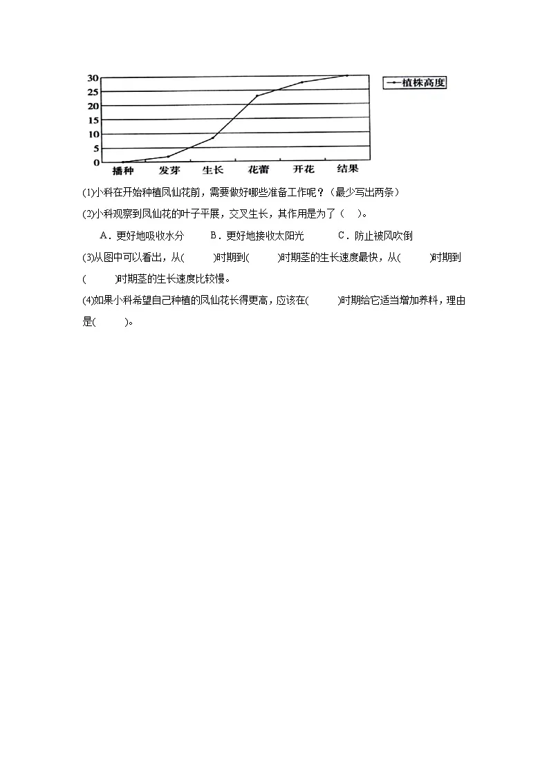 2026年教科版四年级下册科学（凤仙花的一生）一课一练第3页