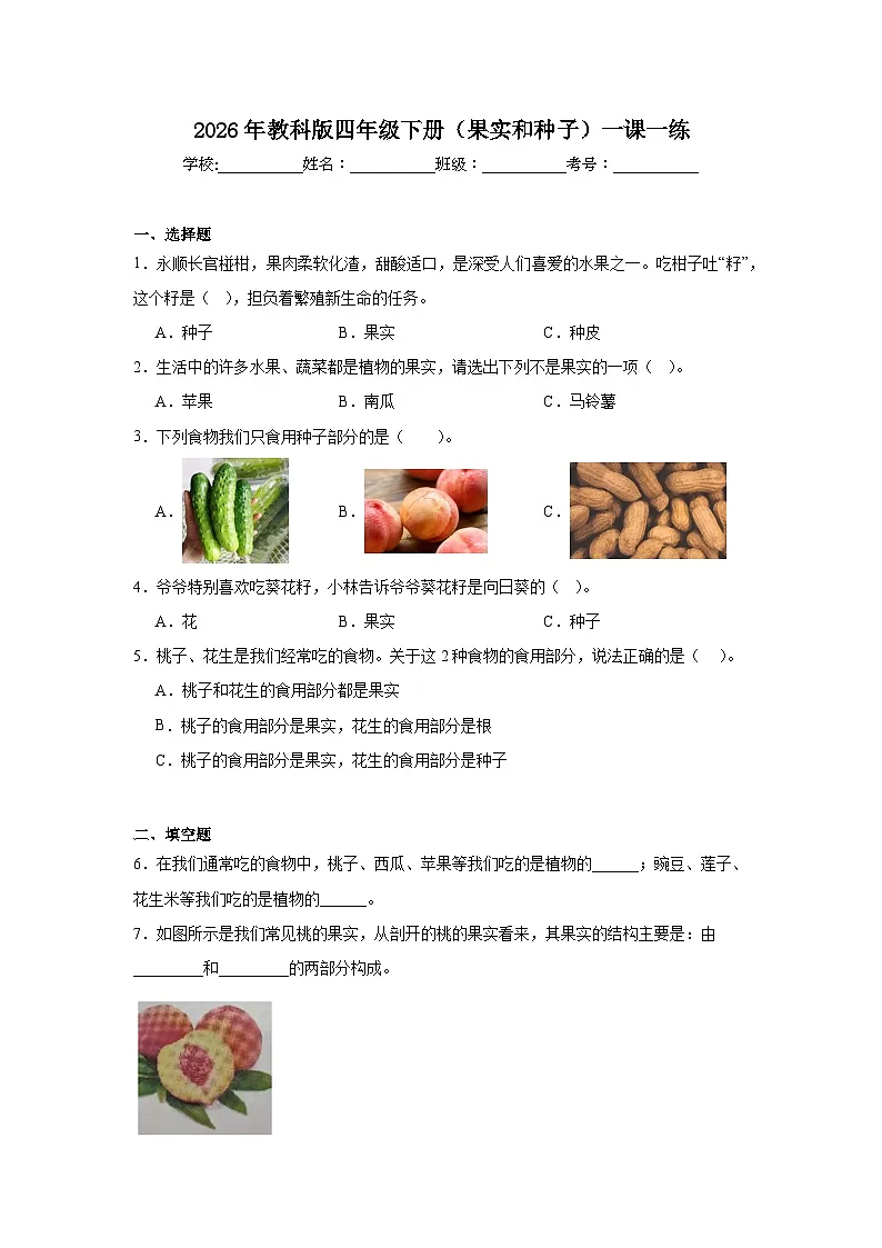 2026年教科版四年级下册（果实和种子）一课一练第1页