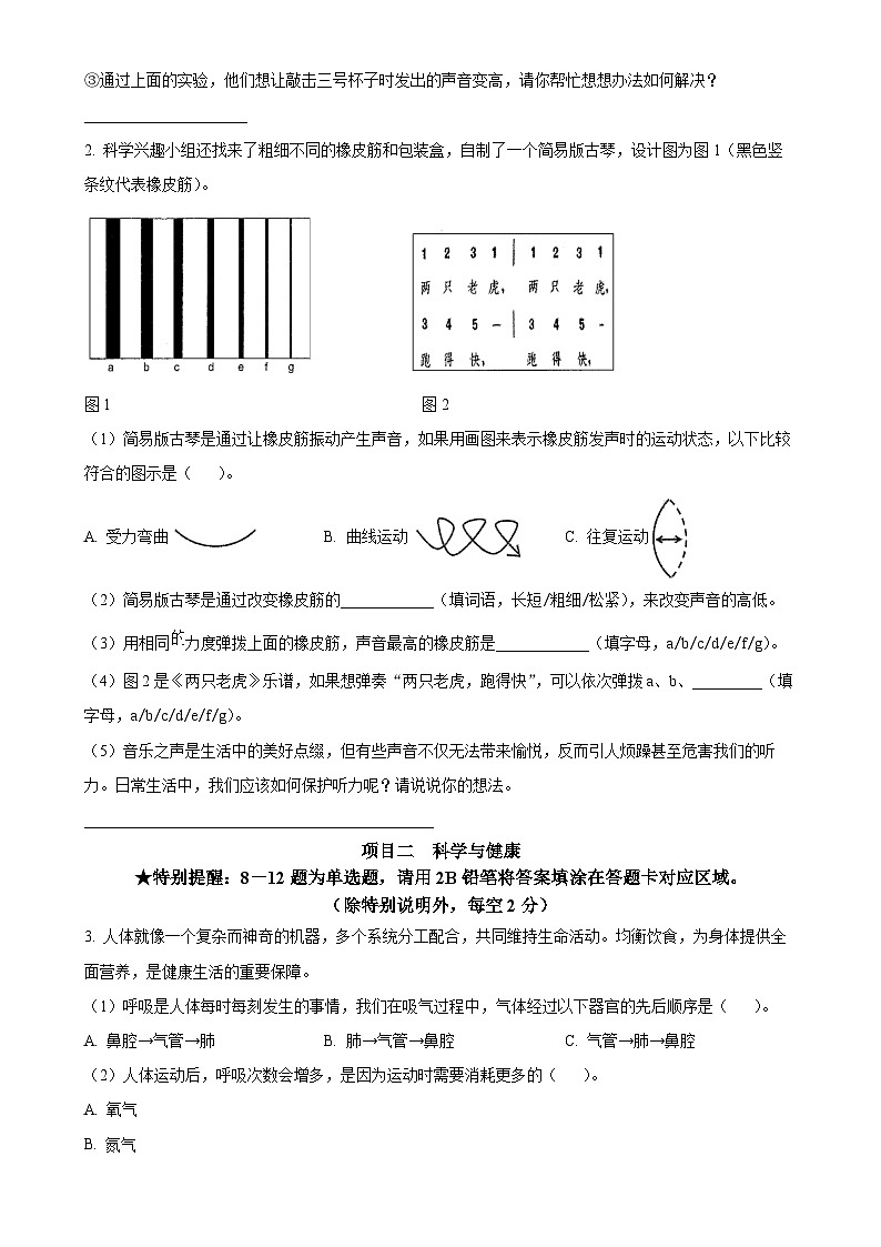 广东省深圳市光明区教科版四年级上册期末考试科学试卷（原卷版）-A4第2页