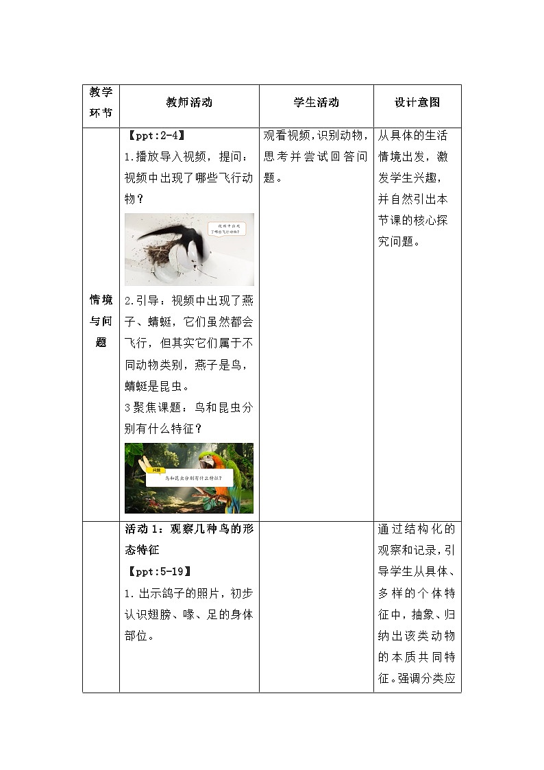 第一单元第2课 鸟与昆虫 教案 小学科学粤教粤科版（2024）三年级下册教案第2页