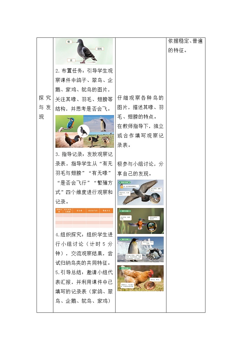 第一单元第2课 鸟与昆虫 教案 小学科学粤教粤科版（2024）三年级下册教案第3页