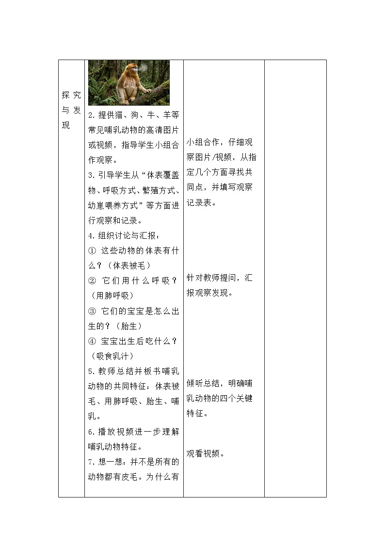 第一单元第4课 常见的哺乳动物 教案 小学科学粤教粤科版（2024）三年级下册教案第3页