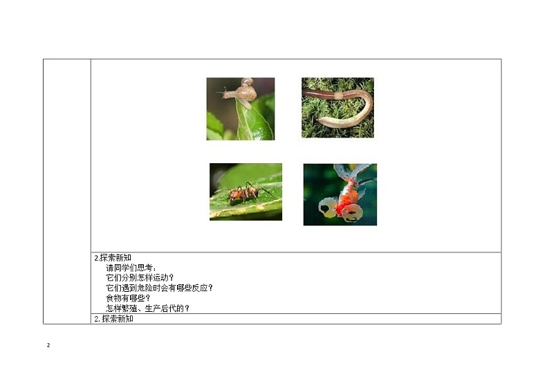 三年级上册科学教案 第二单元《动物有哪些相同特点》教科版02