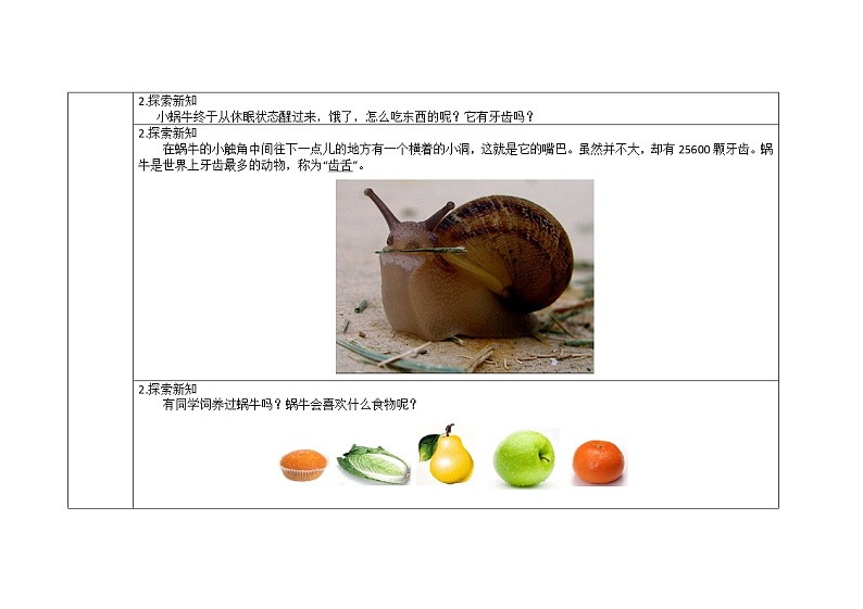 三年级上册科学教案 第二单元《蜗牛（二）》教科版第3页