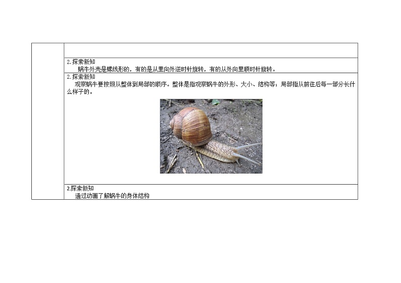 三年级上册科学教案 第二单元《蜗牛（一）》教科版03