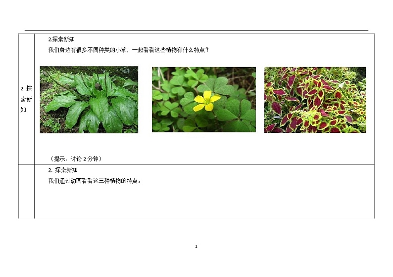 三年级上册科学教案 第一单元《大树和小草》教科版02