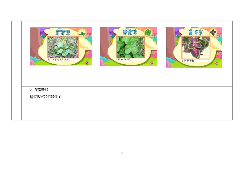 三年级上册科学教案 第一单元《大树和小草》教科版03