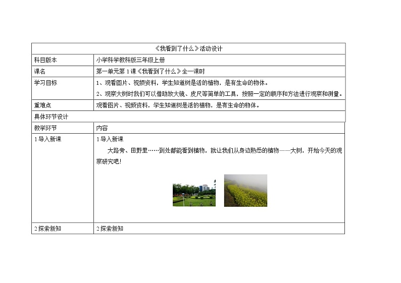 三年级上册科学教案 第一单元《我看到了什么》教科版01