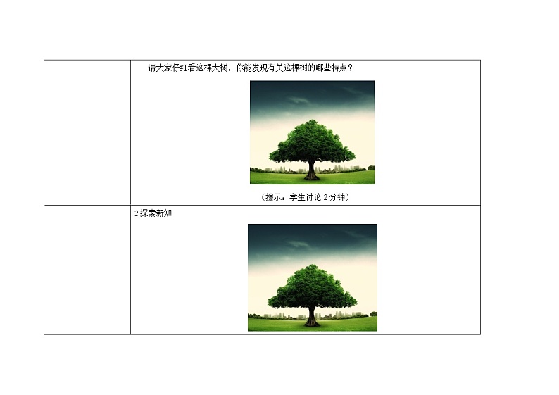 三年级上册科学教案 第一单元《我看到了什么》教科版02