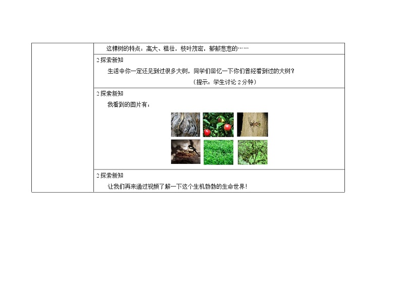 三年级上册科学教案 第一单元《我看到了什么》教科版03