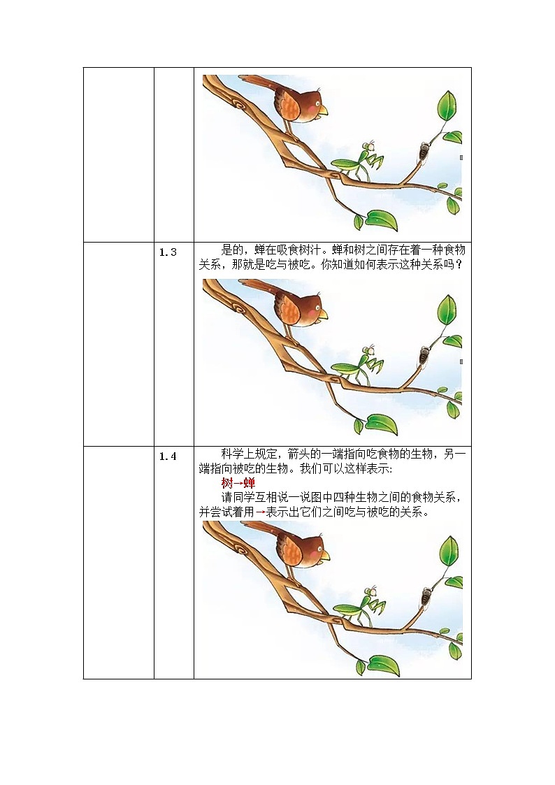 五年级上册科学教案 第一单元  第5课   食物链和食物网 教科版02