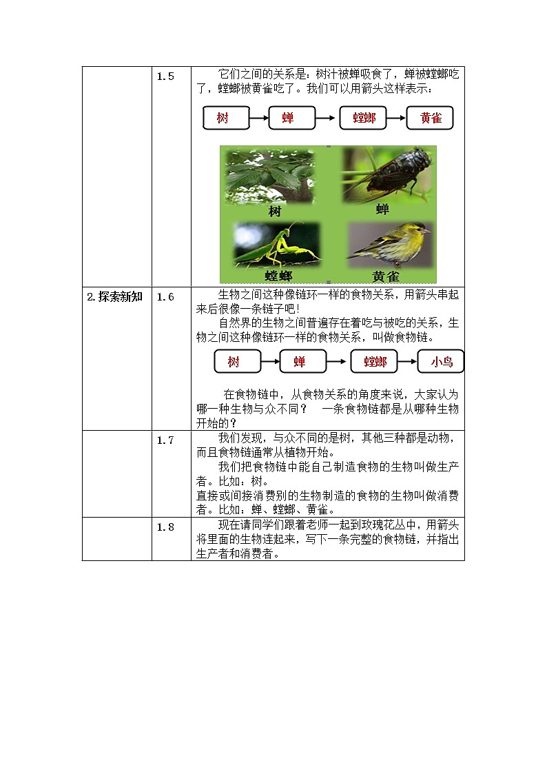 五年级上册科学教案 第一单元  第5课   食物链和食物网 教科版03