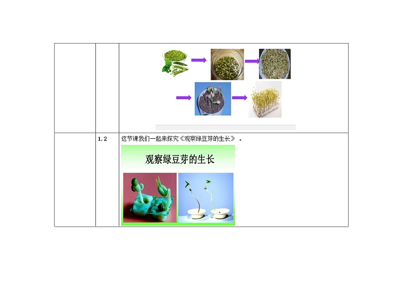五年级上册科学教案 第一单元第3课 观察绿豆芽的生长 教科版02