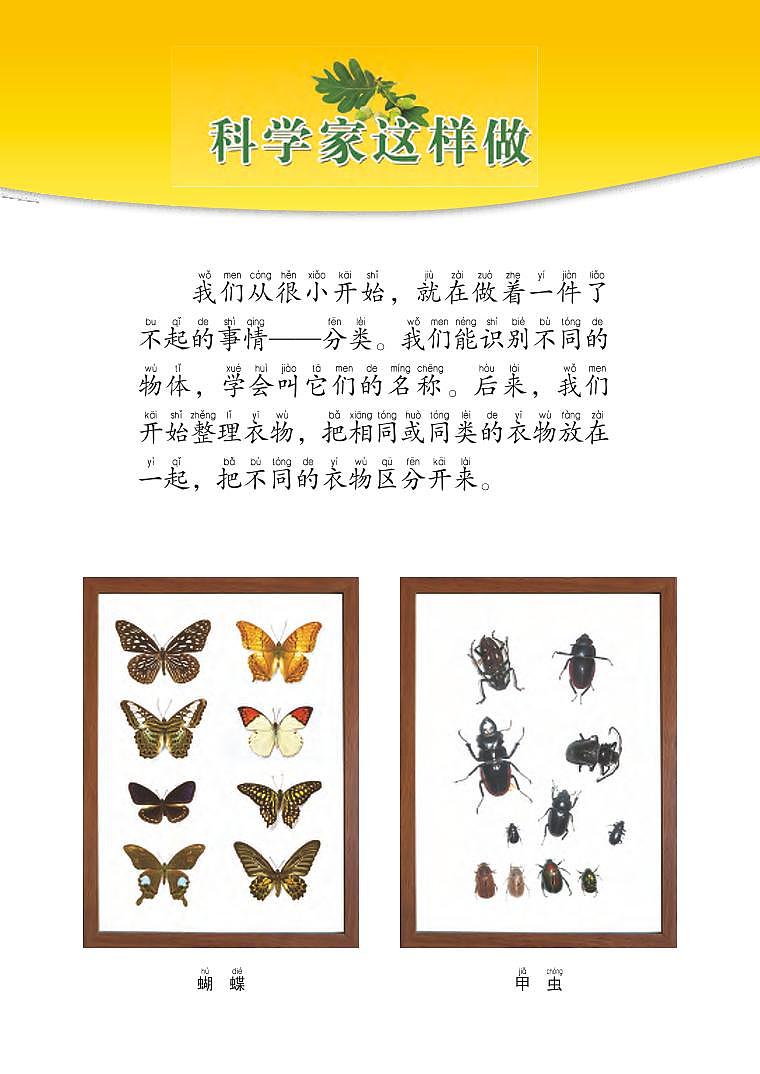 新小学科学教科版一年级下册电子课本2022高清PDF电子版03