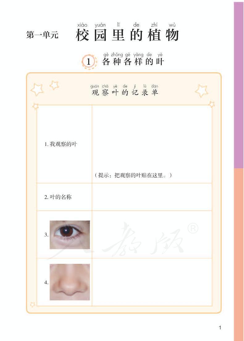 人教鄂教版 科学 一年级下册 活动手册第3页