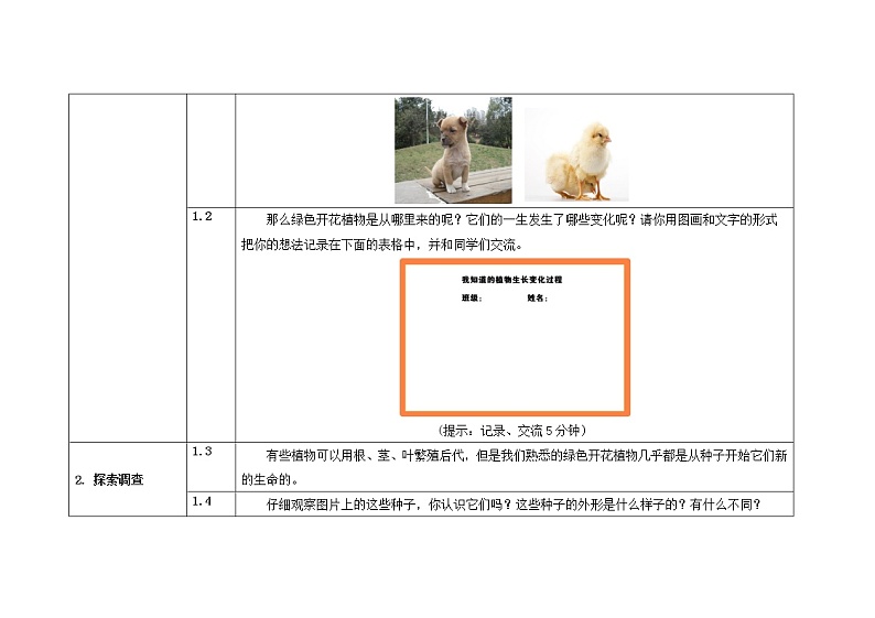 三年级下册科学教案 第一单元  第1课  植物新生命的开始（教科版）02