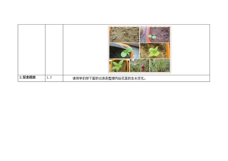 三年级下册科学教案 第一单元  第5课  茎越长越高（教科版）02