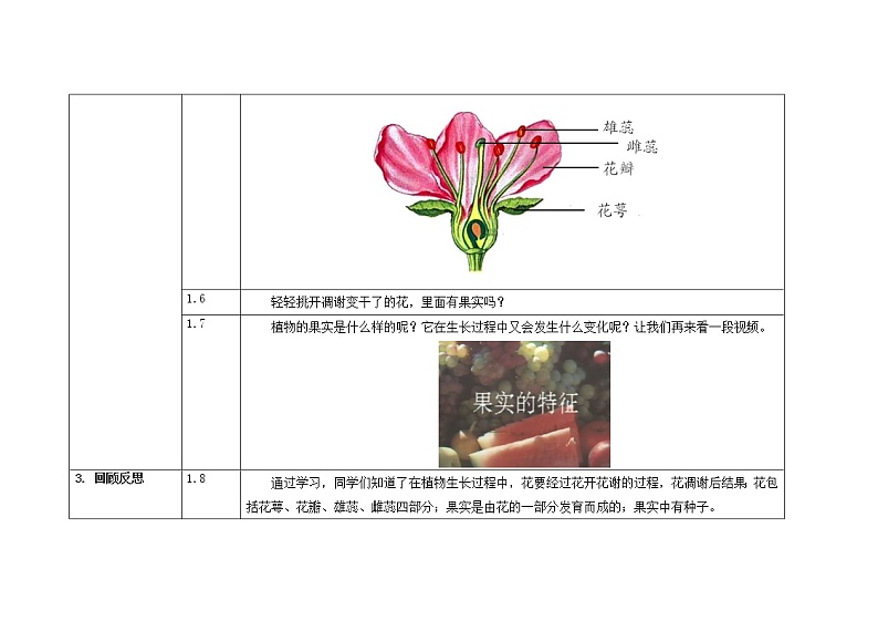 三年级下册科学教案 第一单元  第6课  开花了，结果了（教科版）03
