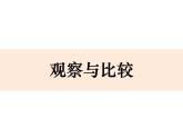2-3《觀察與比較》優(yōu)質(zhì)課件