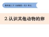2-2《认识其他动物的卵》优质课件
