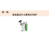 2-2《认识其他动物的卵》优质课件