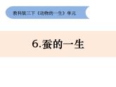 2-6《蚕的一生》优质课件