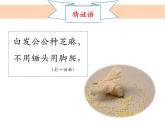 2-5《茧中钻出了蚕蛾》优质课件