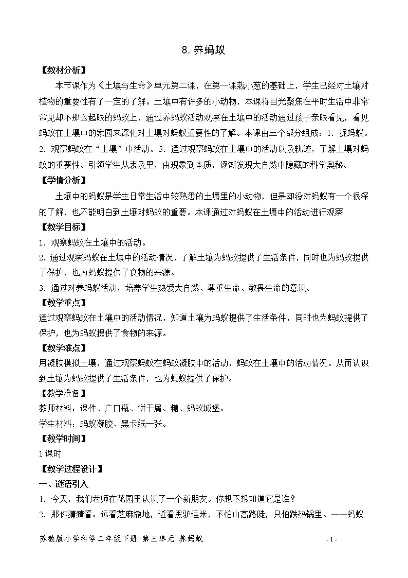 8.养蚂蚁 教案01