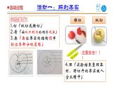 5《植物的果实》课件