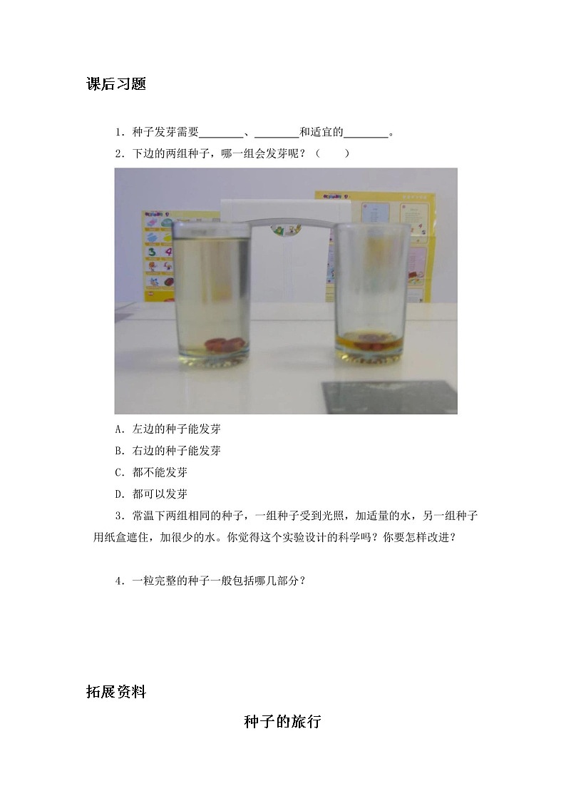 第12课《种子发芽了》课后练习01