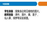 15《不同環(huán)境中的植物》課件