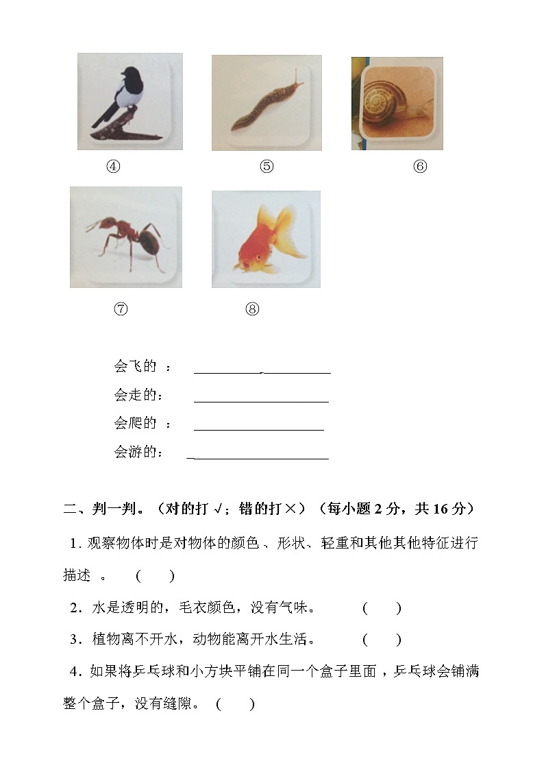 2020教科版一年级科学下册期末测试卷（有答案）第2页