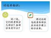 湘科版三年級上冊：2.3鳥 課件PPT