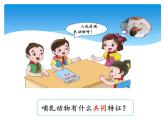 湘科版三年級(jí)上冊(cè)：2.4哺乳動(dòng)物 課件PPT