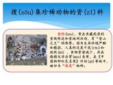湘科版三年级上册：2.5珍稀动物 课件PPT