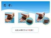 湘科版三年級上冊：3.3土壤的種類 課件PPT