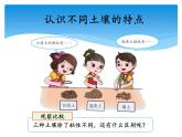 湘科版三年級上冊：3.3土壤的種類 課件PPT