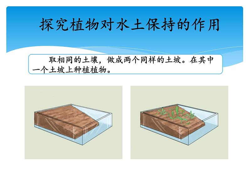 湘科版三年级上册：3.4土壤的保护 课件PPT05