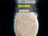 第14課 《不同物質(zhì)的溶解能力 》課件+素材