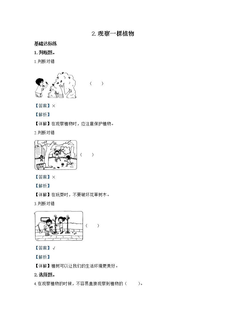 教科版科学一上：1.2 《观察一棵植物》同步练习（含答案）01