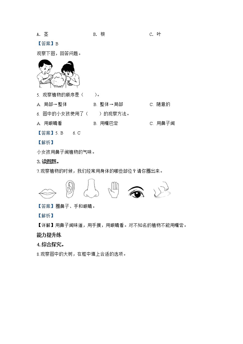 教科版科学一上：1.2 《观察一棵植物》同步练习（含答案）02