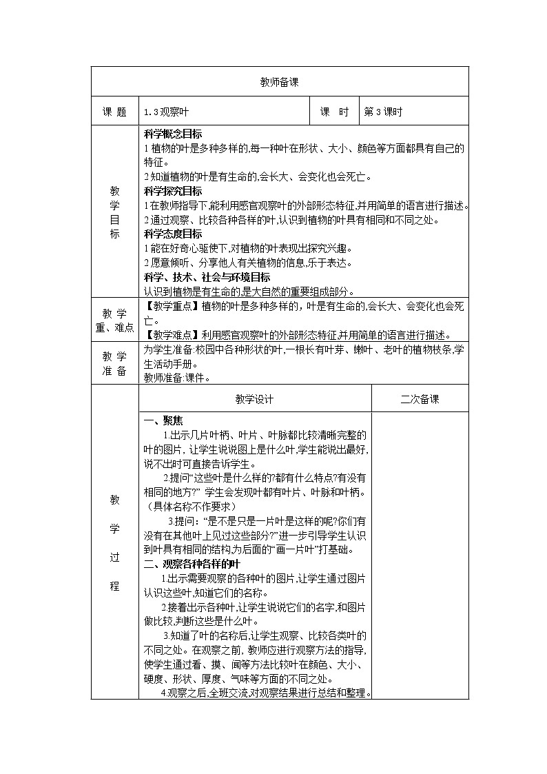 1.3观察叶 教案01