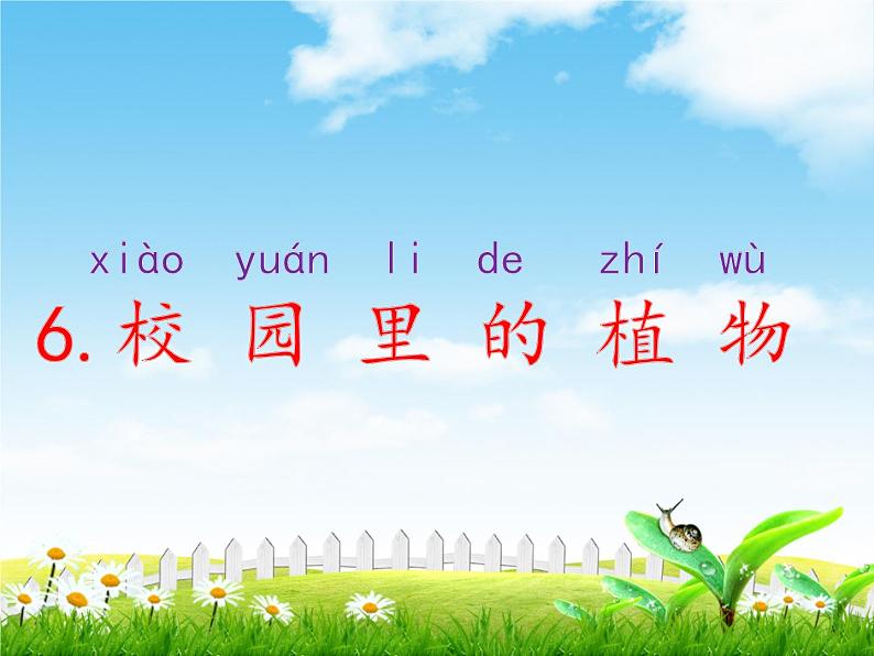 教科版科学一上：1.6《校园里的植物》课件02