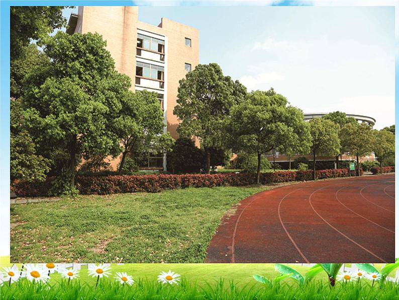 教科版科学一上：1.6《校园里的植物》课件05